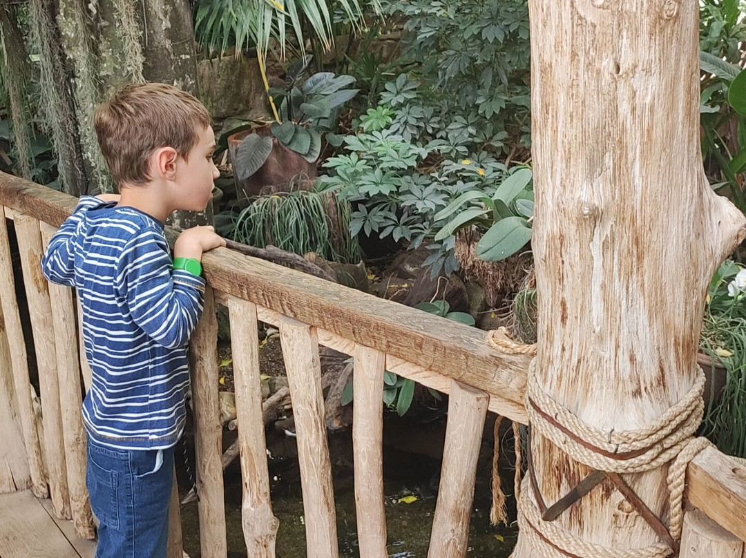 Center Parcs de Vossemeren-洛默尔必去景点