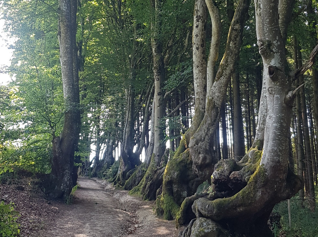 Allee des Geants-Saint-Nicolas-des-Biefs必去景点