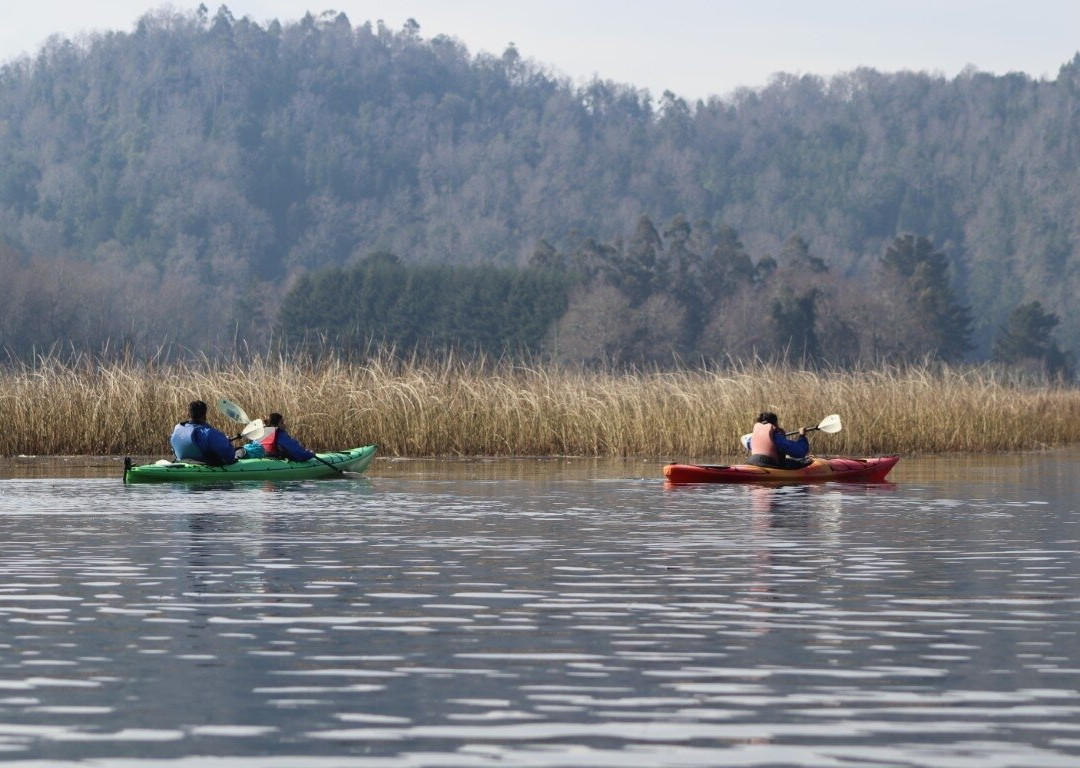 Rio Vivo-瓦尔迪维亚必去景点