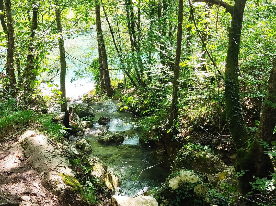 Rafting Montenegro-Scepan Polje必去景点