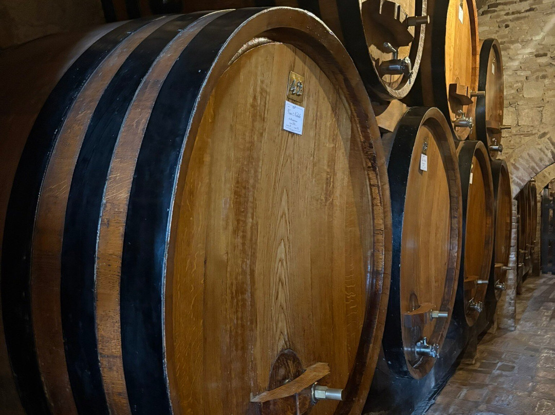 Contucci Cantine-蒙特普尔恰诺必去景点