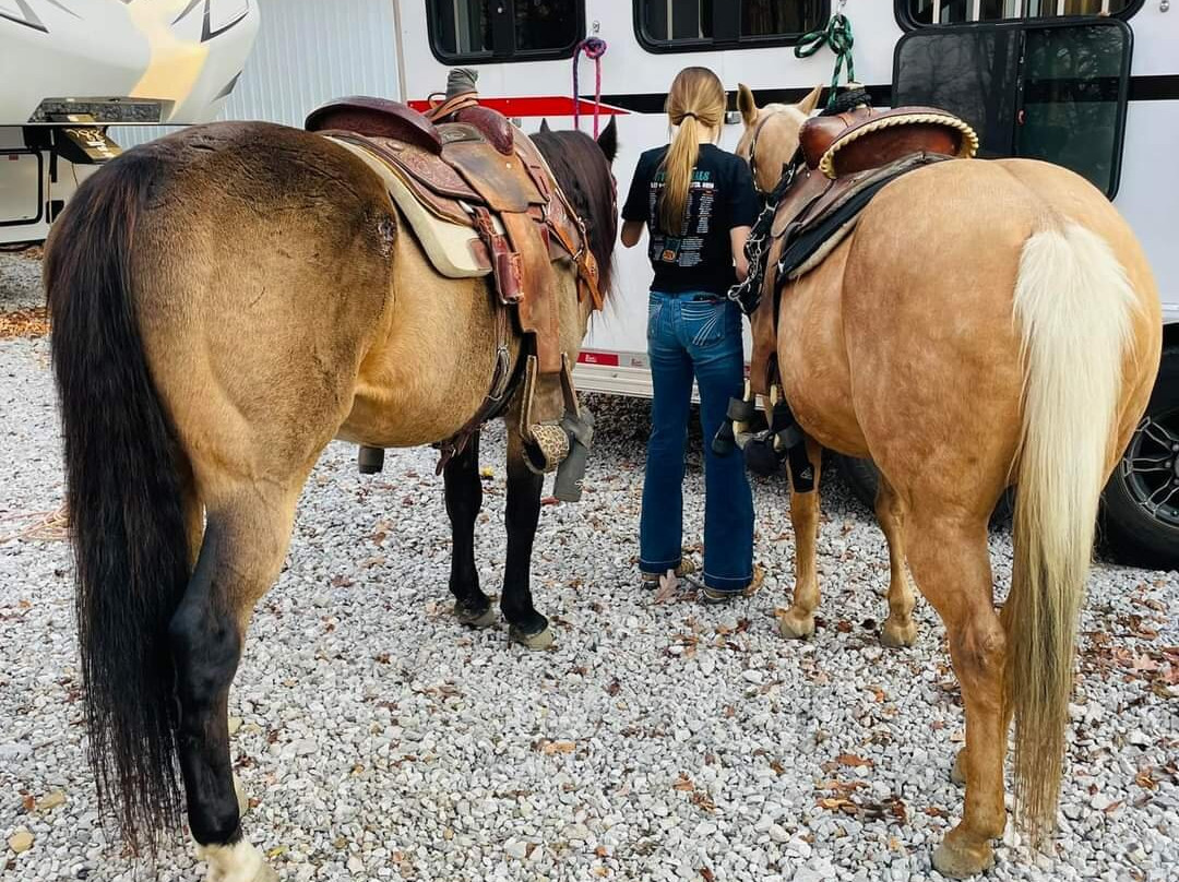 Cobblestone Hotel & Suites - Urbana主图