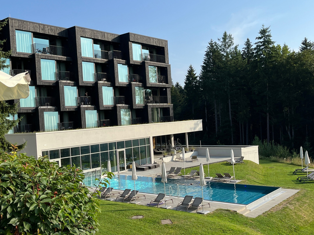 Fritz Lauterbad主图