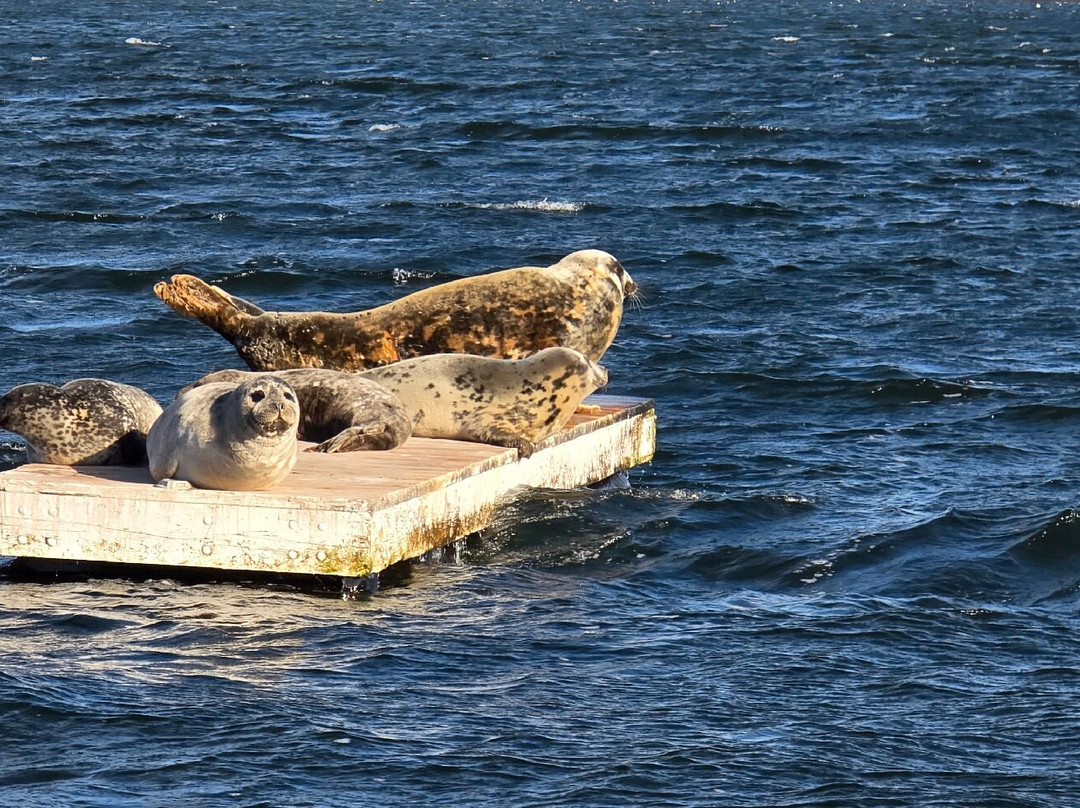 Tranquility Cove Adventures-Georgetown必去景点