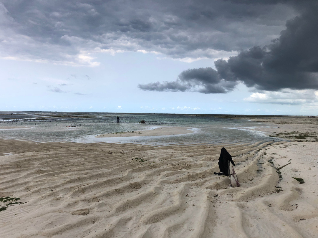 Pwani Mchangani Beach-Pwani Mchangani必去景点