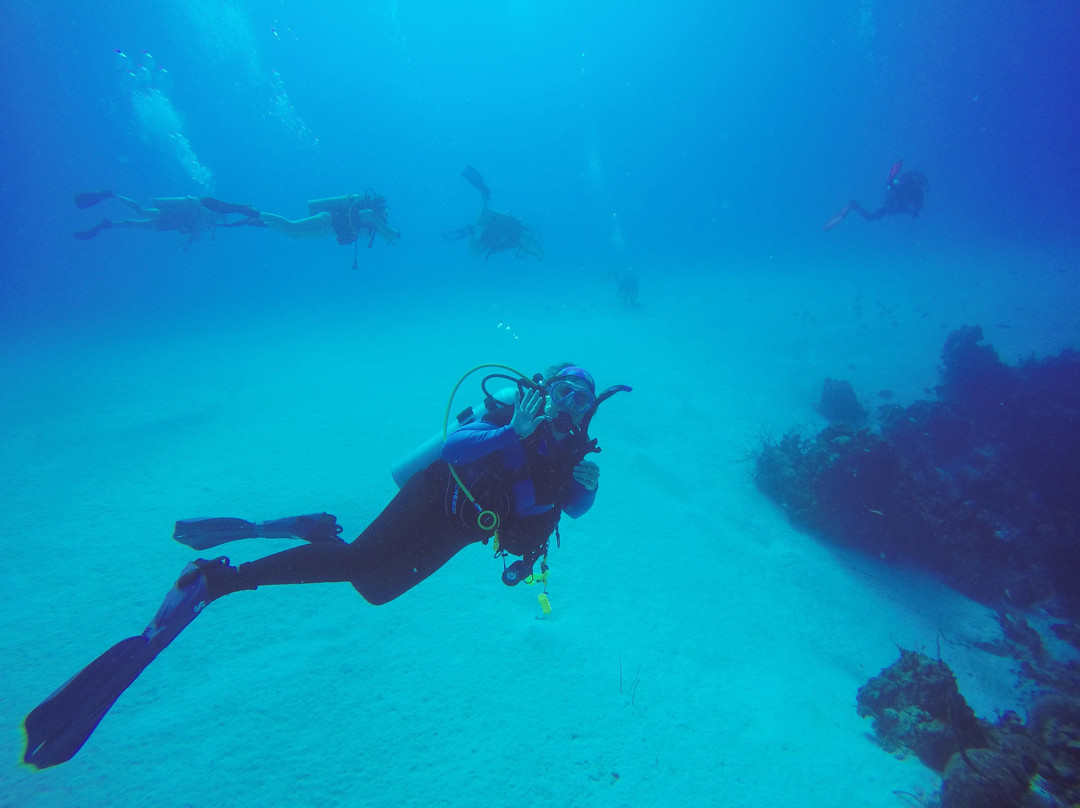 Aqua TCI-普罗维登西亚莱斯必去景点