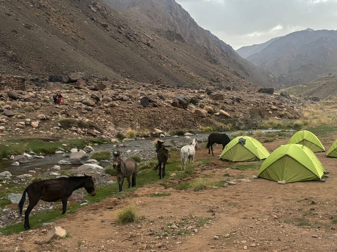 Mountain Sahara Treks-伊姆利勒必去景点