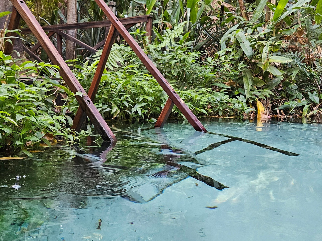 Jalapao Max Tour-Ponte Alta do Tocantins必去景点
