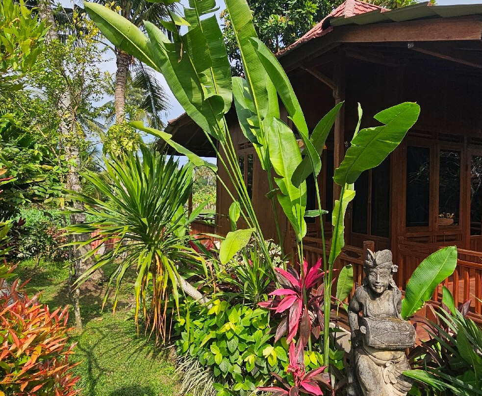 The Dukuh Retreat主图