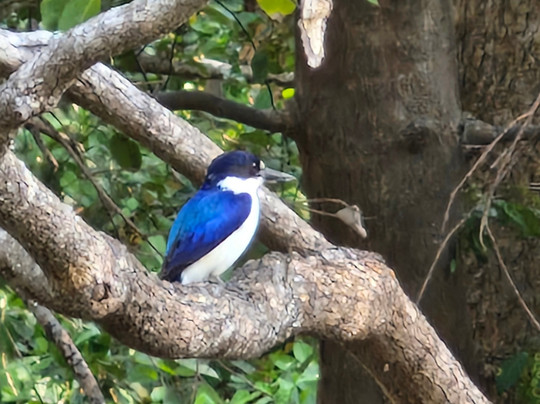 Venture North Safaris-达尔文市必去景点