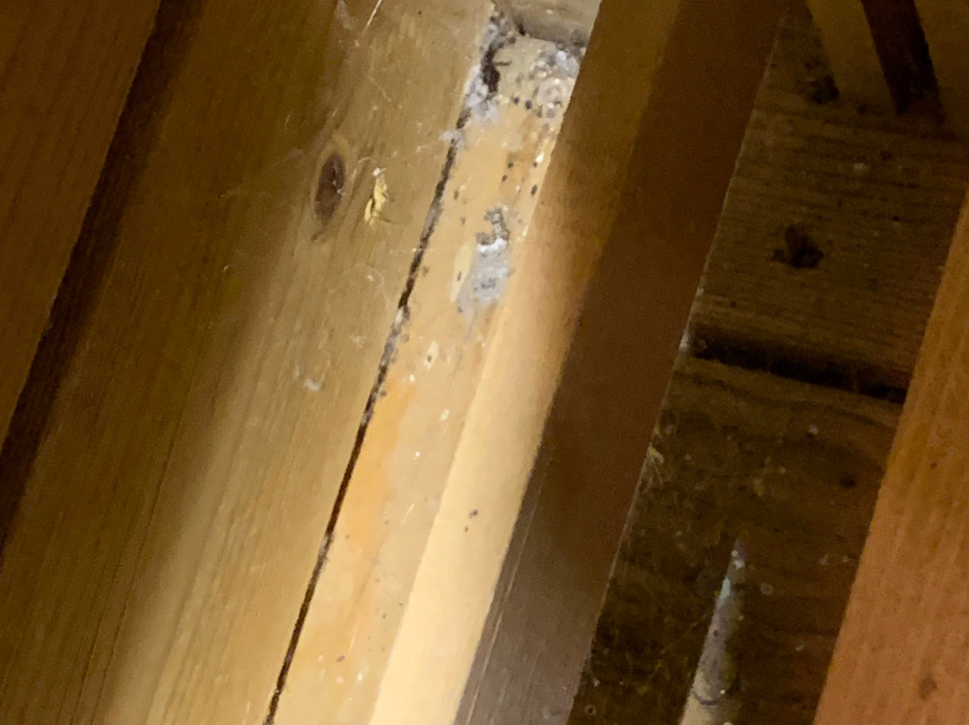 Flower Camping Le Bel Air主图