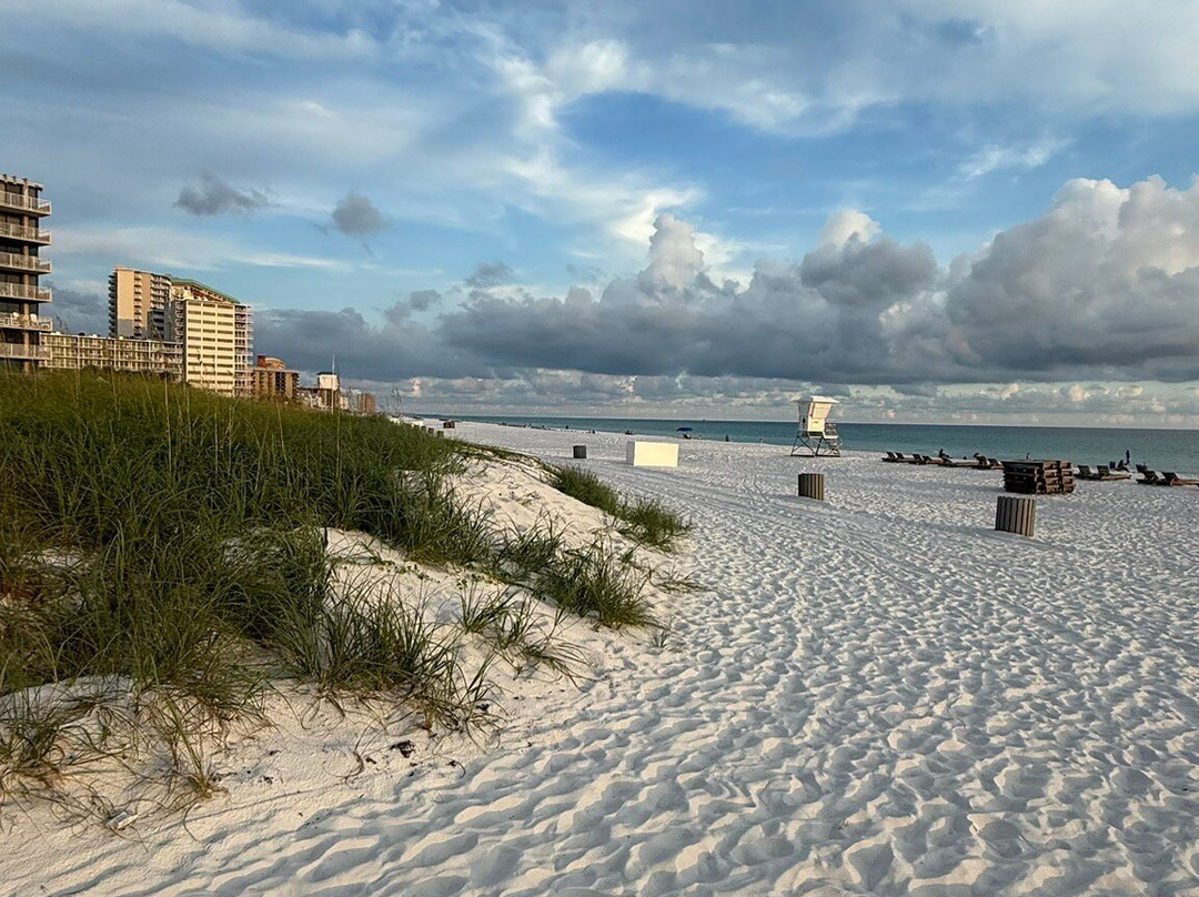 Rick Seltzer Park-巴拿马城海滩必去景点