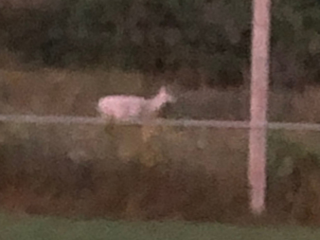 Deer Haven Park-Romulus必去景点