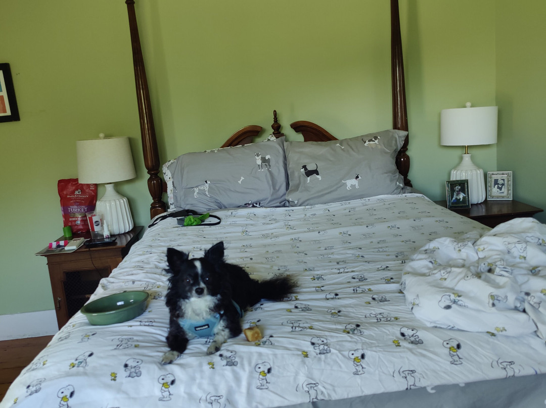 The Paw House Inn主图