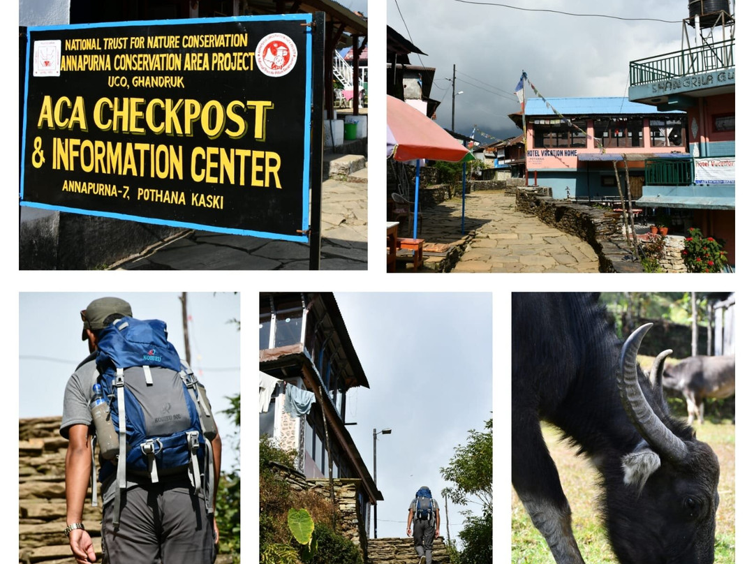 Adventure Nation Treks Nepal-博卡拉必去景点