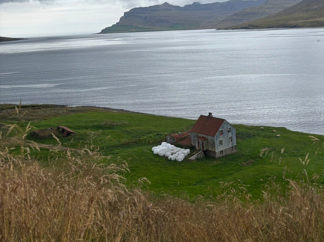 Eastfjords Adventures-塞济斯菲厄泽必去景点