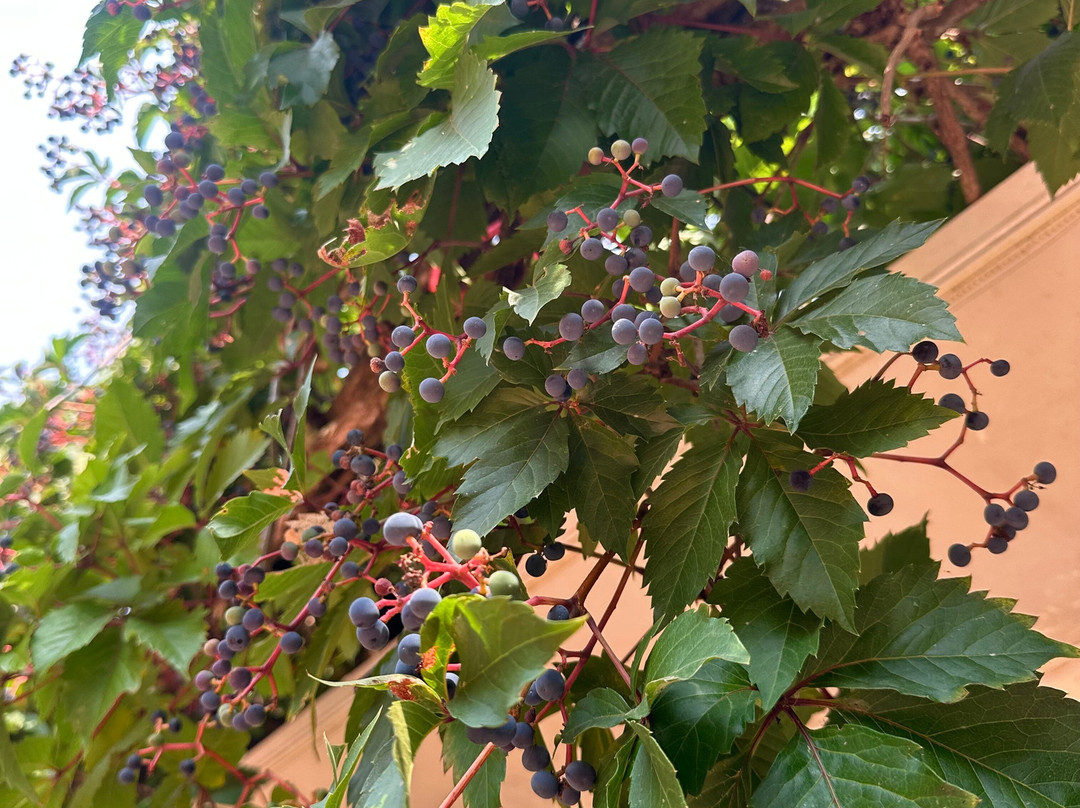 La Riera Hostel and Resturant主图