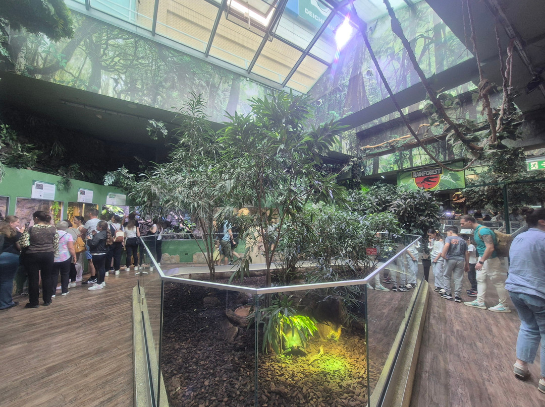 Tropicarium-Oceanárium-布达佩斯必去景点