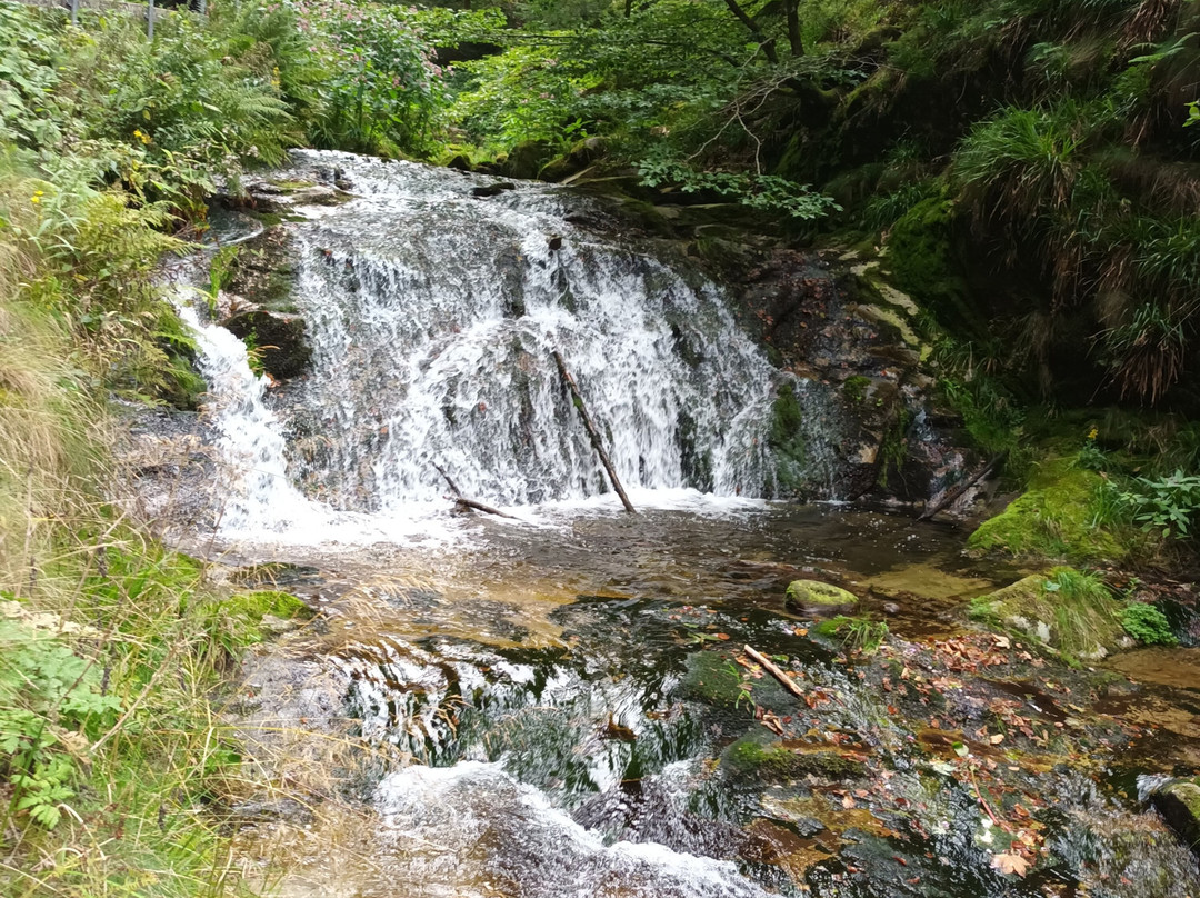 Allerheiligen Wasserfalle-Oppenau必去景点