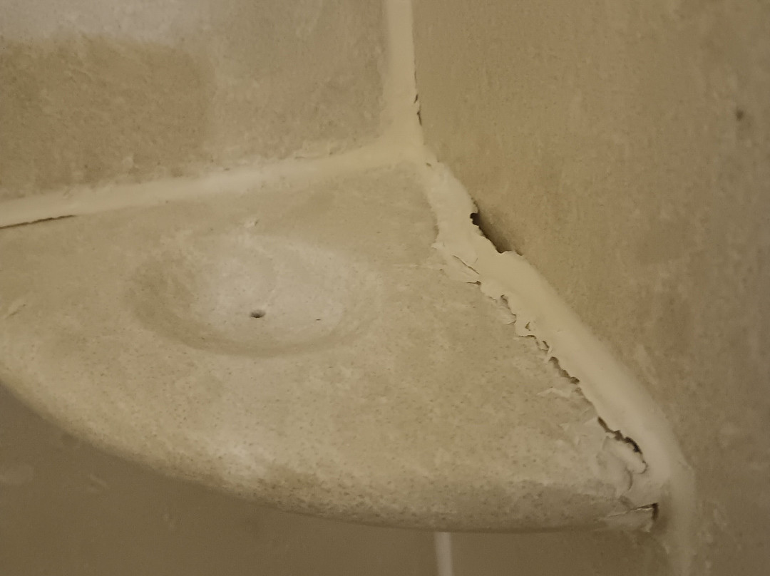 Best Western Plus Philadelphia Airport South At Widener University主图