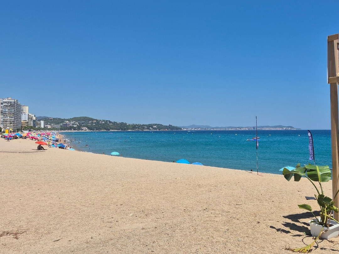 Mas La Casassa主图