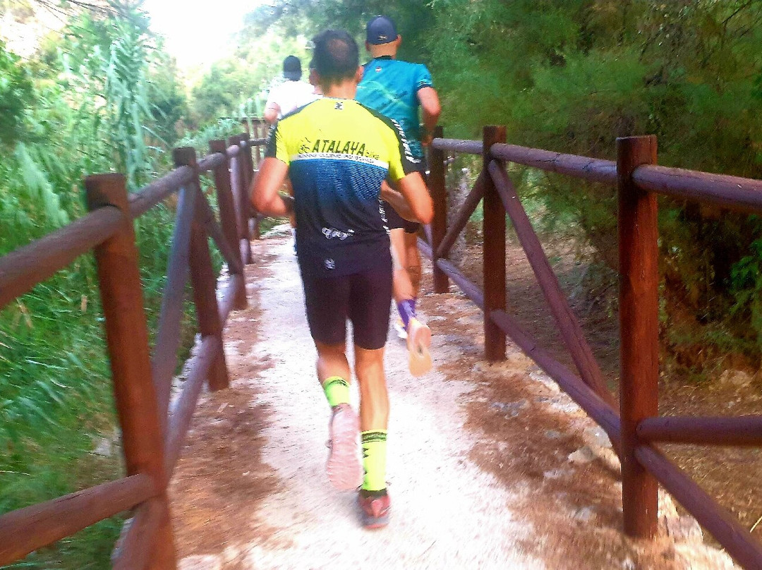 Carrera Villa De Ojós-Ojos必去景点