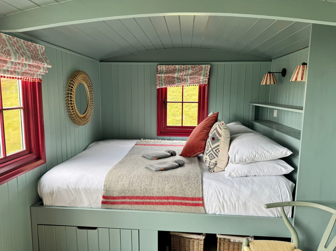 Barlwyd Glamping