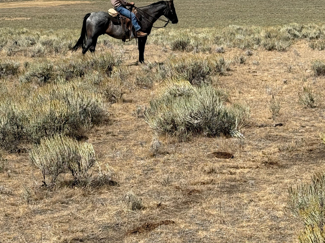 Silver Spur Ranch Idaho-Dubois必去景点