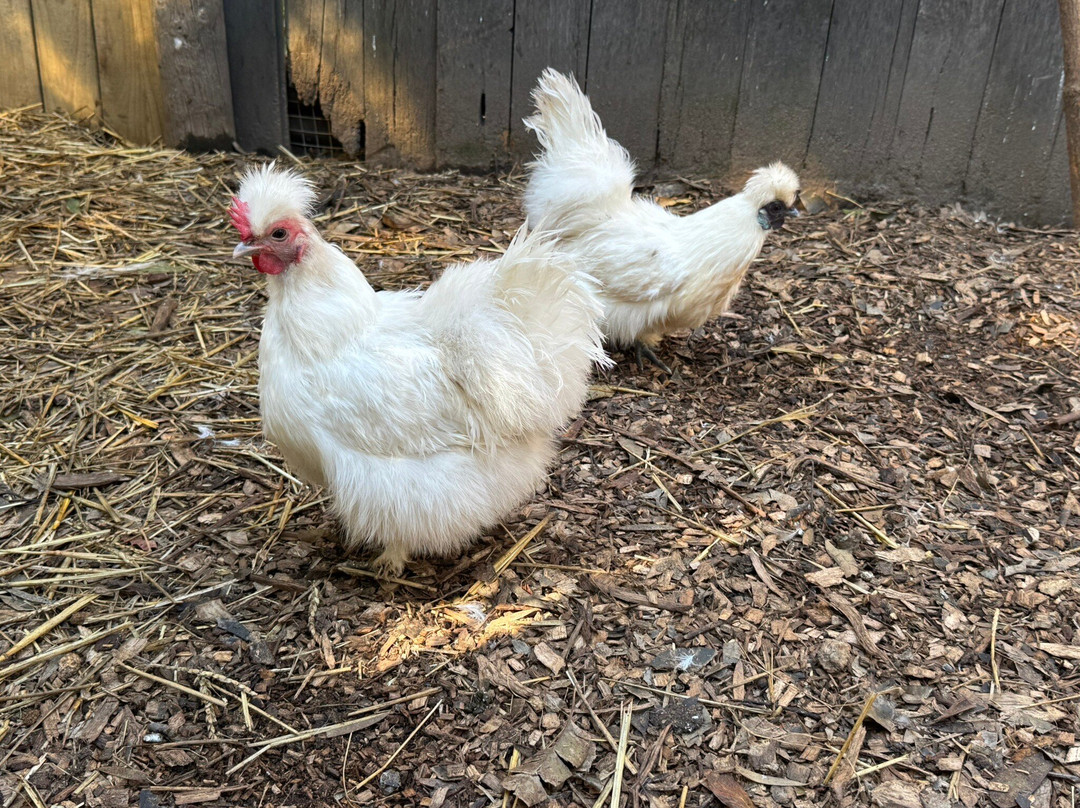 World of Birds-开普敦中心区必去景点