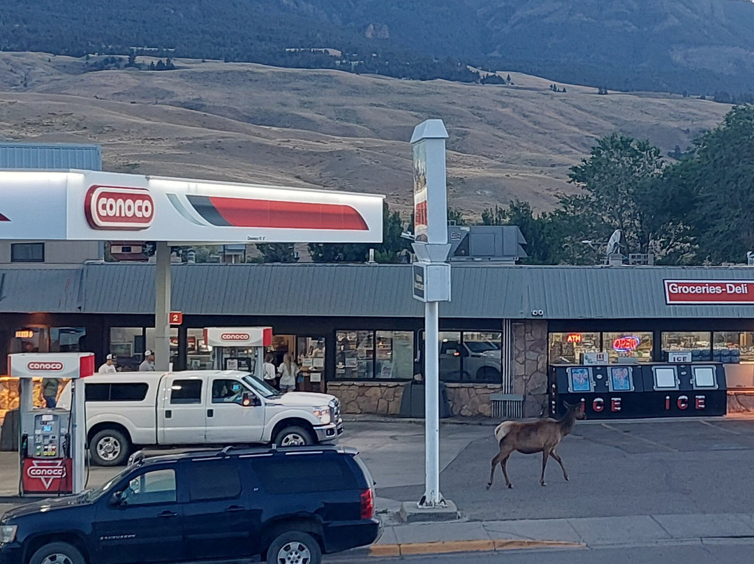 Hillcrest Cottages主图