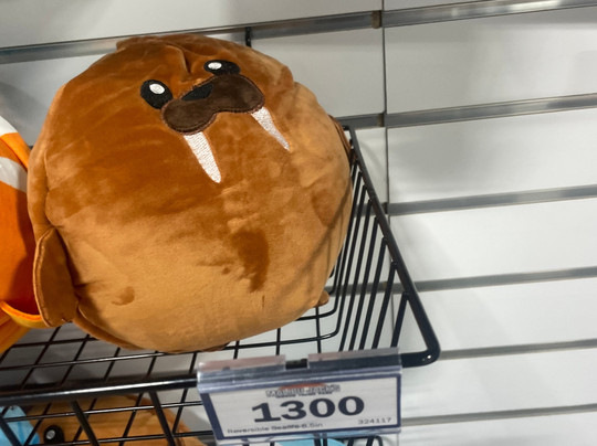 Malibu Jacks-斯普林菲尔德必去景点