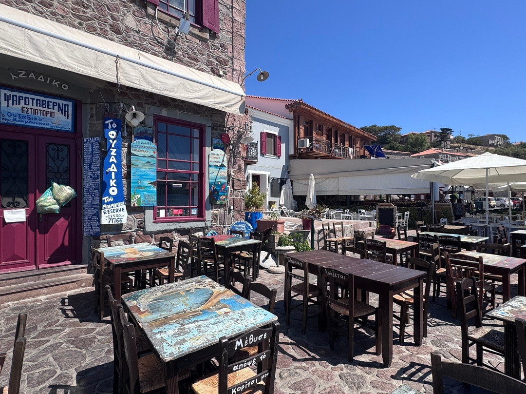 Sea Horse Hotel主图