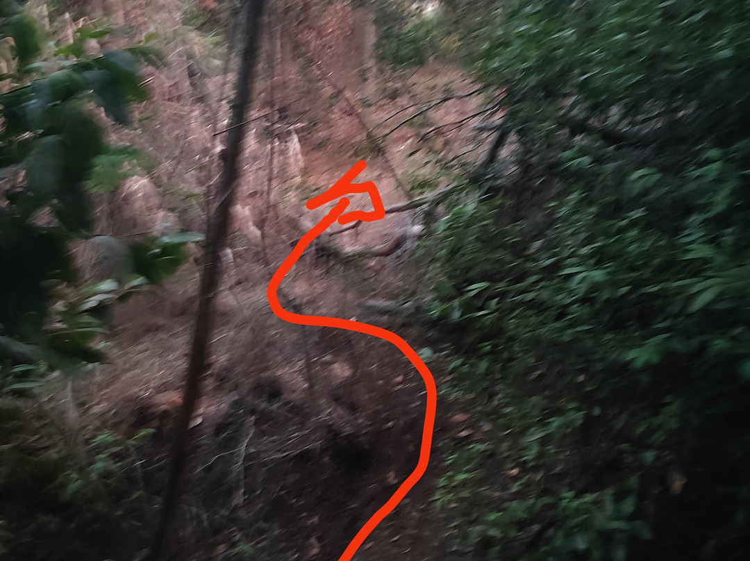 Baia del Buon Dormire-Faracchio必去景点