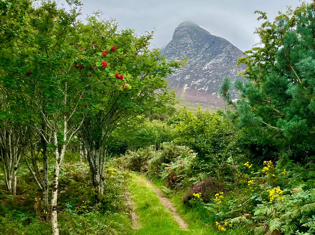 Corrie Golf Club-Corrie必去景点