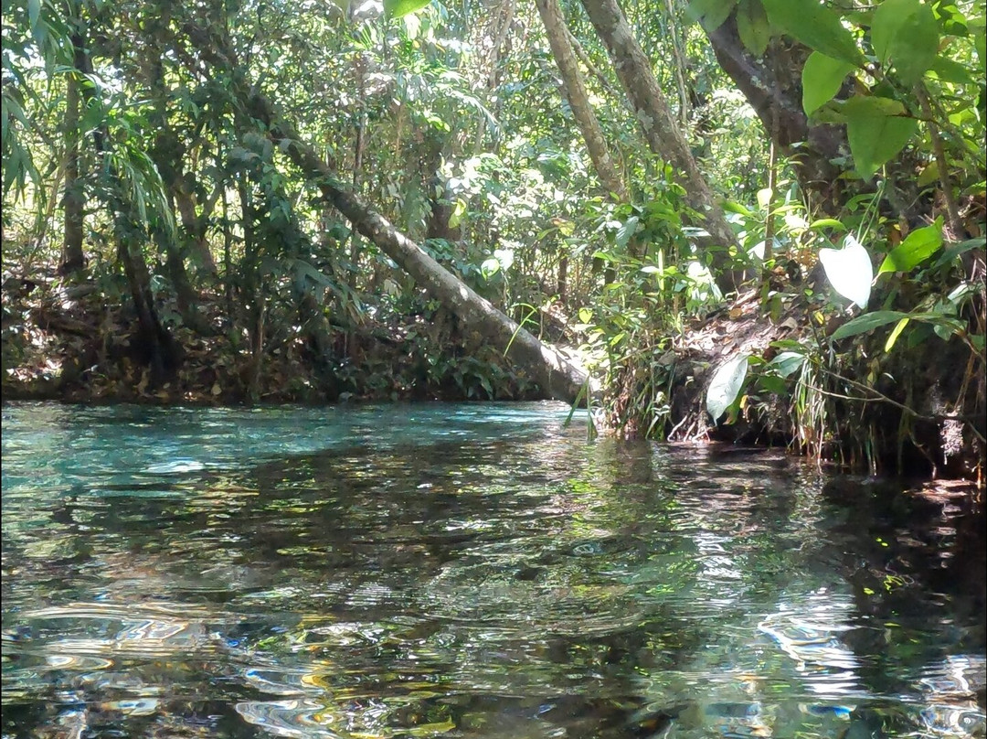 Andorinhas Do Jalapão Ecoturismo e Expedições-Palmas必去景点