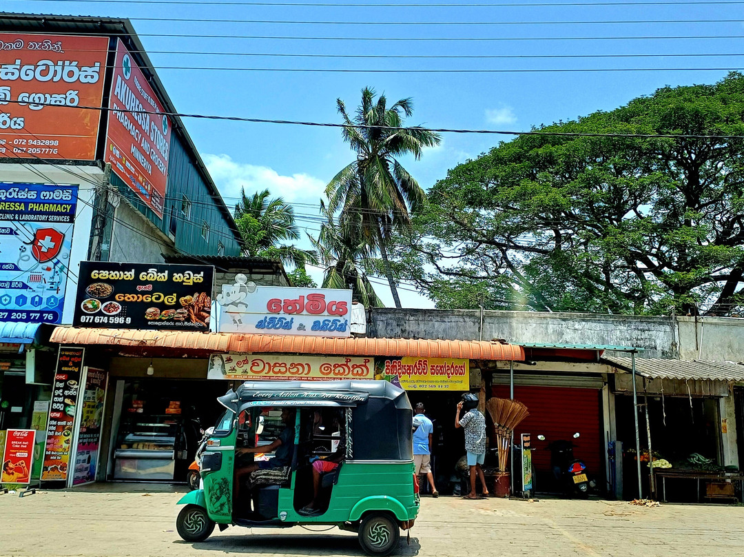 Sri Lankan Personal Drivers-科伦坡必去景点