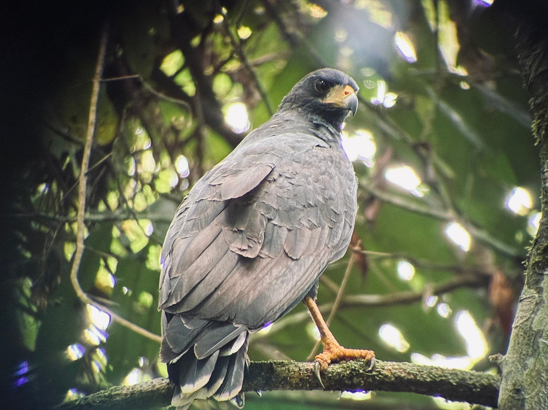 Rancho Tropical-希门尼斯港必去景点