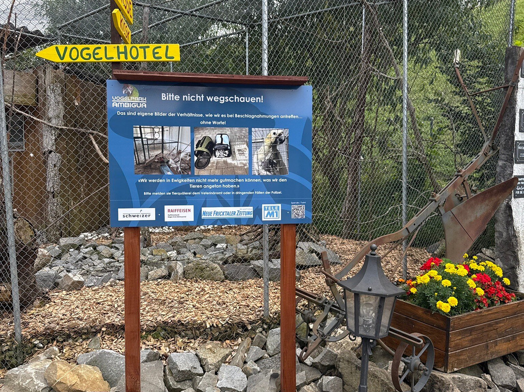 Vogelpark Ambigua-Zeihen必去景点