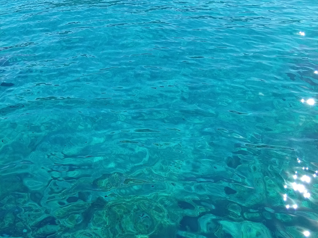 Beluga - Day Tours-Ponza Island必去景点