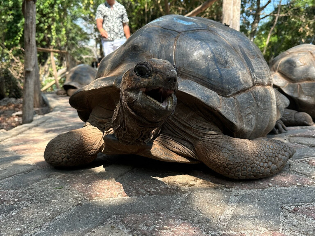 EXPLORER TOURS AND SAFARIS-乌罗阿必去景点