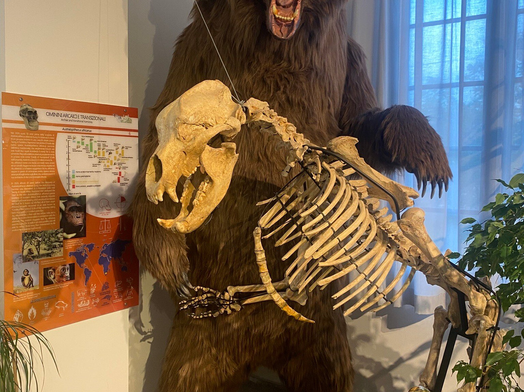 Museo Universitario-基耶蒂必去景点