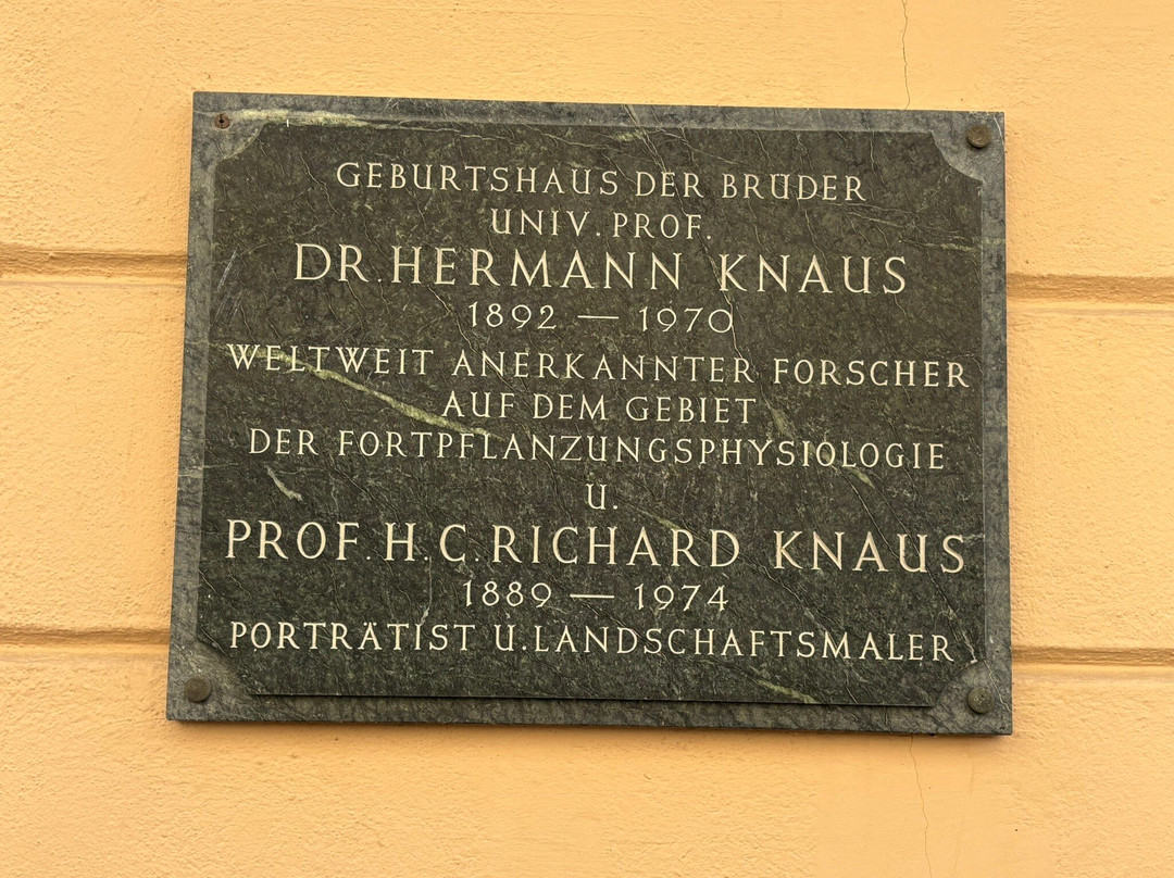 Altstadt Sankt Veit-Sankt Veit an der Glan必去景点