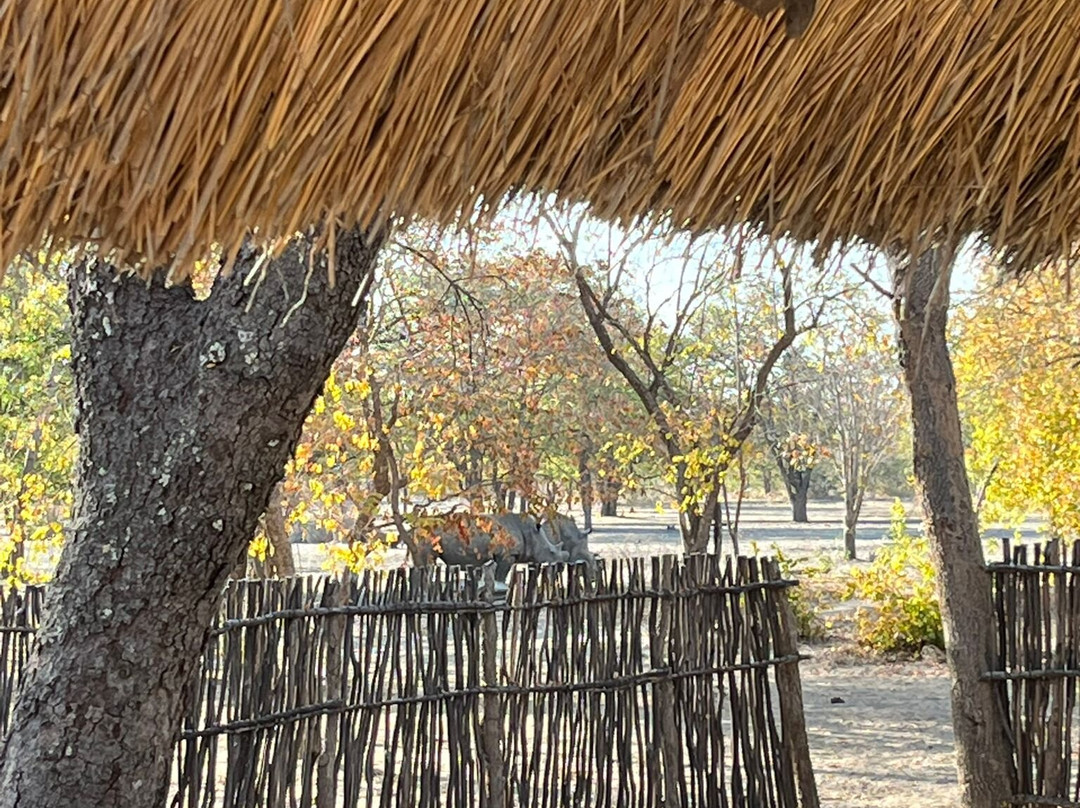 Sukulu Reserve-李文斯顿必去景点