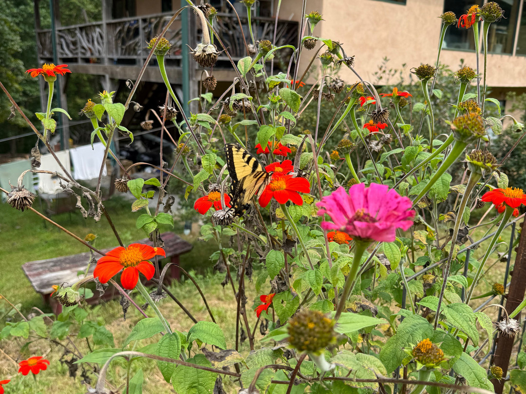 Earthaven Ecovillage-Black Mountain必去景点