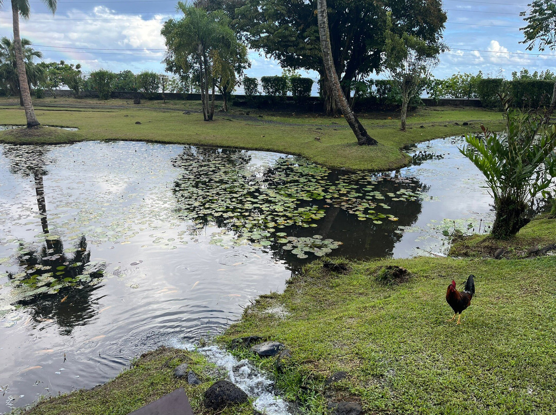 Nordhoff Adventure-法阿必去景点