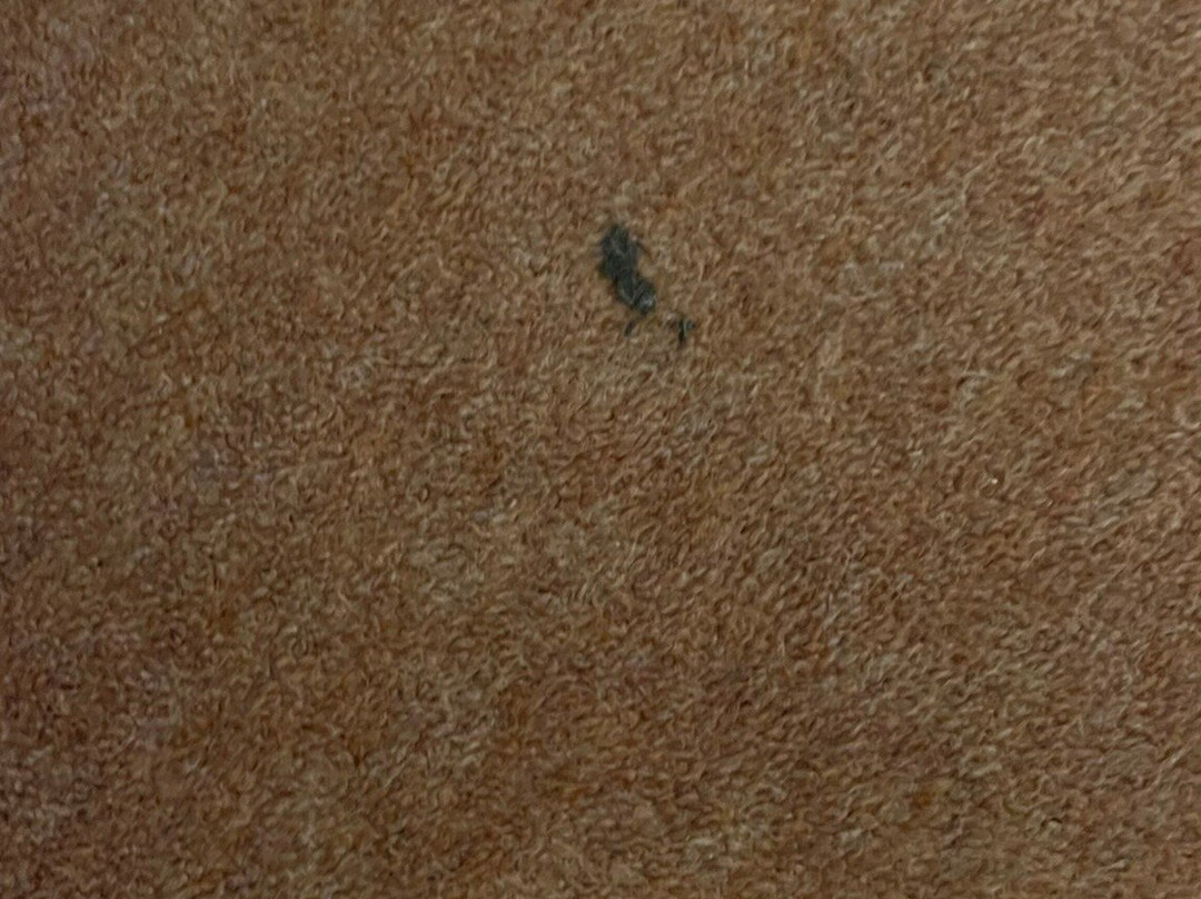 The George & Dragon country house Hotel主图