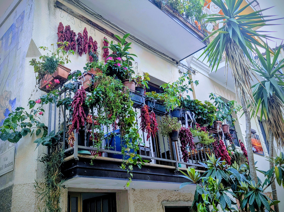 Peperoncino Festival-迪亚曼泰必去景点