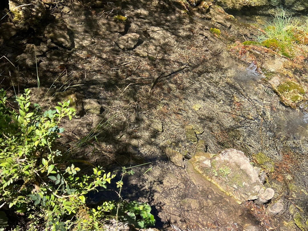 Nacimiento Del Rio Cuervo-Vega del Codorno必去景点