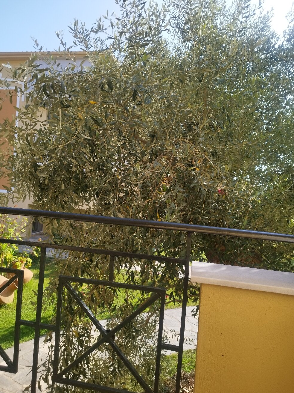 Nostos Studios-官方