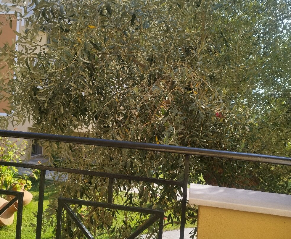 Nostos Studios主图